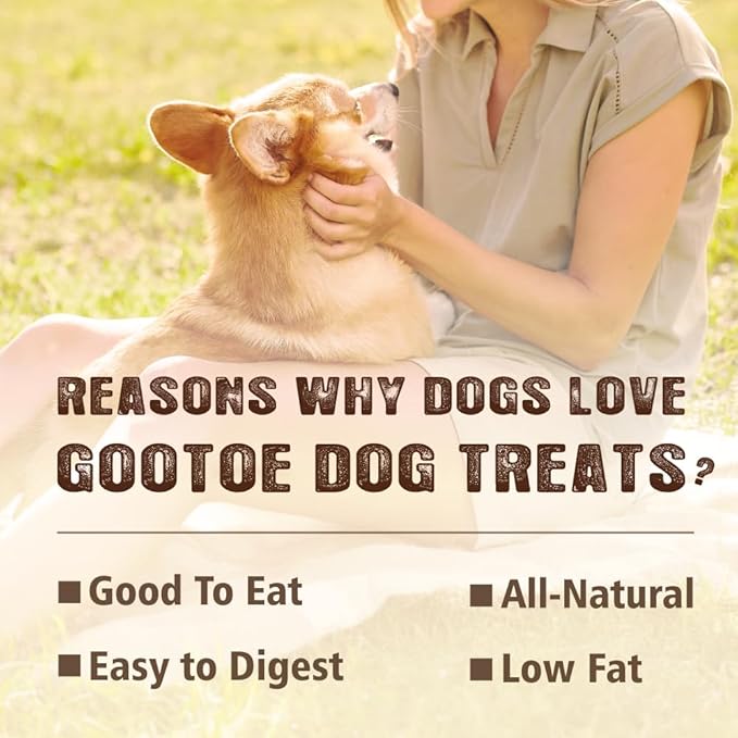 Gootoe Soft Dog Treats, Chicken Jerky - Dog Training Treats; High-Protein, Gluten-Free, Soft Jerky for Dogs, Hypoallergenic, Grain-Free, Sticks 1 lb (Pack of 3)