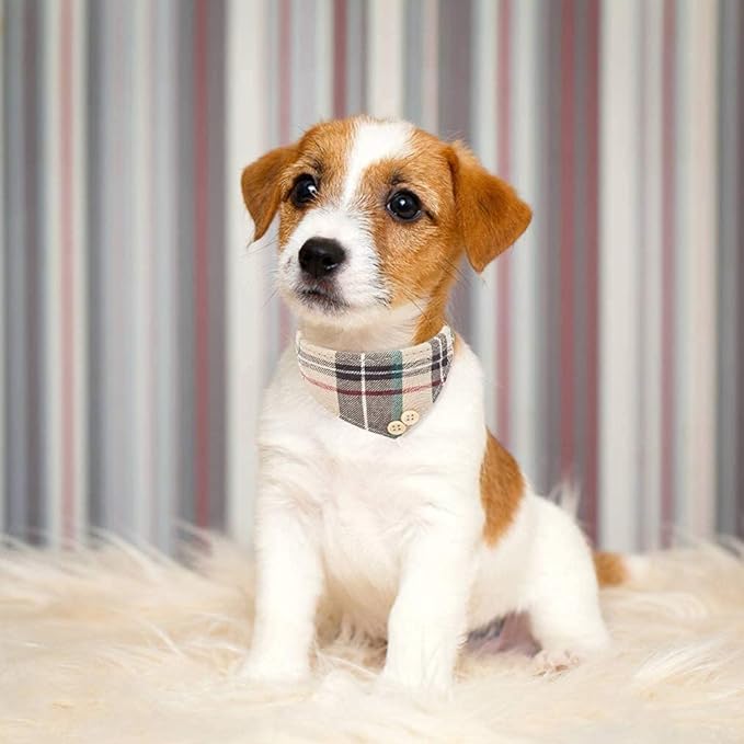 EXPAWLORER Dog Collar and Leash Set - Classic Plaid Dog Bow Tie and Dog Bandana Collar with Bell, Dog Leash Tangle Free, Adjustable Collars for Small Medium Large Dogs Cats, Holiday Ideal Gift, XS