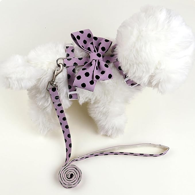 Cat Harness and Leash Set, Sweet Bow Kitten Collar, Escape Proof Extra Small Dog Harness, Cute Polka Dot Print Puppy Collar, Girl Dog Leash for Small Dogs Kittens Outdoor Walking (Purple, S)