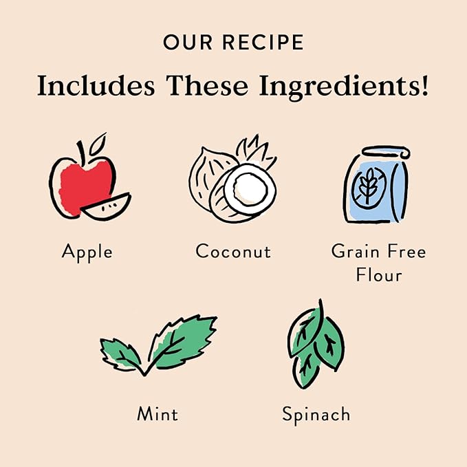 Bocce's Bakery Dailies Brushy Sticks to Support Oral Health & Fresh Breath, Wheat-Free Dental Bars for Dogs, Made with Real Ingredients, Baked in the USA, Natural Coconut & Mint Recipe, Large Dogs