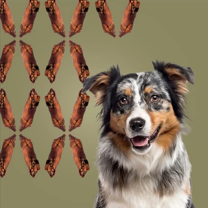 ROAM Pet Treats Grasslands Venison Hoof Dog Chew Pack of 2 – Single Ingredient, All Natural, Grain-Free, & Gluten-Free Dog Treats