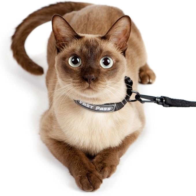 Metal Free Airport Travel Collar Leash Set Designed for Small Pets who fit Under seat of Airplane Metal Free to Speed up The Airport TSA Inspection Process (Small 7-10 inch)