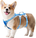 Huntboo Escape Proof Dog Harness, Escape Artist Harness, Reflective Harness with Padded Handle, Breathable, Durable, Adjustable Vest for Medium Dogs Walking, Training, and Running Gear (Blue, S)