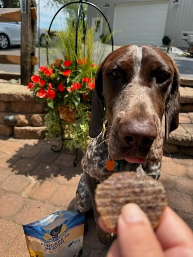 KONA'S CHIPS Burgers in Heaven - Tasty Round Beef Patties for Dogs 16 oz, Great Beef Treat for Dog Made in The USA