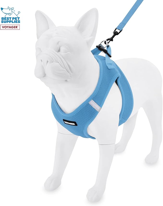 Voyager Step-in Air All Weather Mesh Harness and Reflective Dog 5 ft Leash Combo with Neoprene Handle, for Small, Medium and Large Breed Puppies by Best Pet Supplies - Blue, XX-Small
