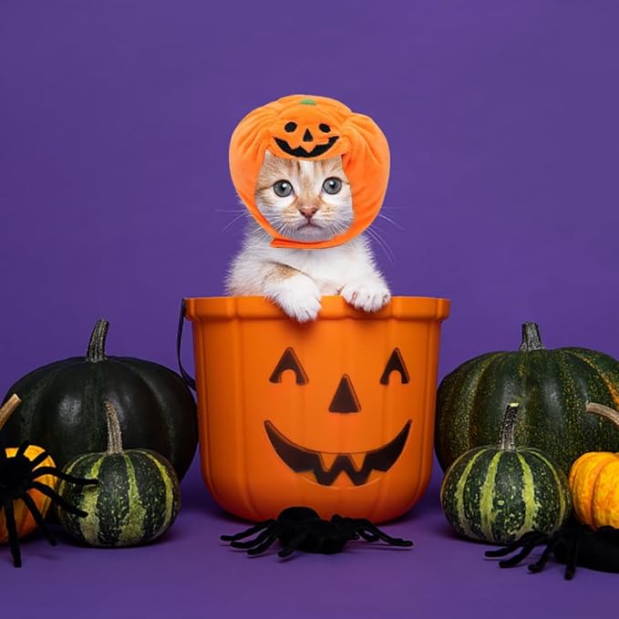 ALIBBON Cat & Dog Halloween Costume - Pumpkin Headdress & Cap for Puppy & Kitty Cosplay