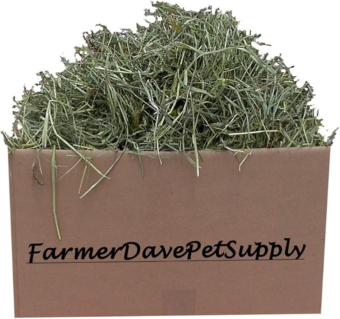 5 lb Early 1st Cut Premium Rabbit and Bunny Hay
