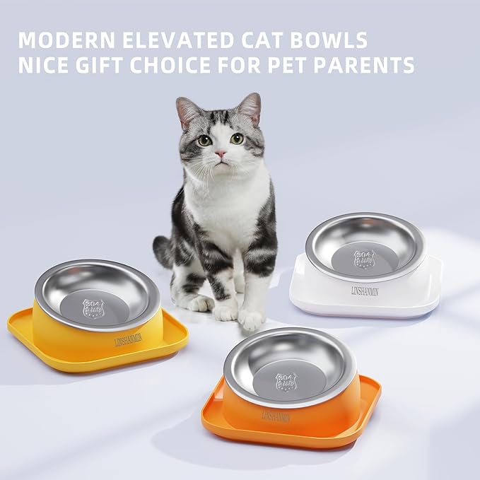 Cat Bowls Elevated Tilted Whisker Friendly, Cat Food Bowls for Indoor Cats, Shallow Food Dishes Stainless Steel, Slanted Flat Plastic Feeder Elevated Angled Design.(White)