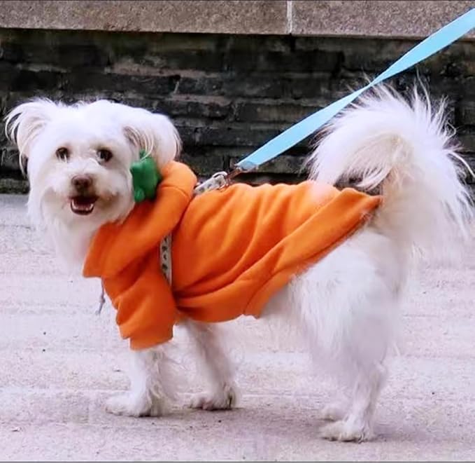 Happy Dog Hoodies - Funny Puppy Clothes for Small Dogs & Cats - Hooded Sweatshirt Coat - Winter & Easter Outfit - Carrot Costume for Chihuahua, Pomeranian, Yorkie (Orange, Small)
