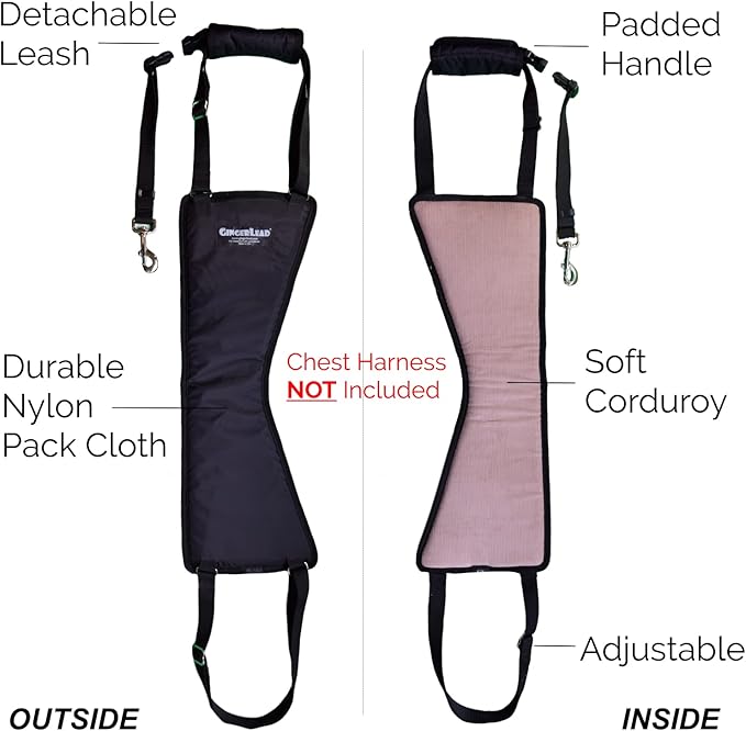 GINGERLEAD Dog Rear Support Sling Harness, M/LG Unisex with Cutout Fits Male & Female Dogs. Padded Hip Lifting Aid Helps Old Pets Walk, K9s Recover from TPLO Surgery. Integrated Leash. Made in U.S.A.