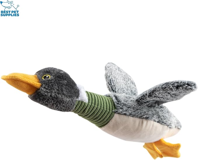 Best Pet Supplies Interactive Squeaky Dog Chew Toy, Ideal Dog Toys for Chewers, Small, Medium & Large Dogs, and Fetch Lovers - Mallard Duck (Gray, Gray, Brown), Small