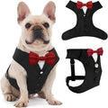 AVERYDAY Dog Tuxedo for Wedding Outfit, Dog Suit and Tie Costumes for Birthday, Halloween, Cosplay, Christmas Party, Pet Formal Wear with Bowtie, Tux for Medium Large Dogs, Bulldog, Labrador, Husky
