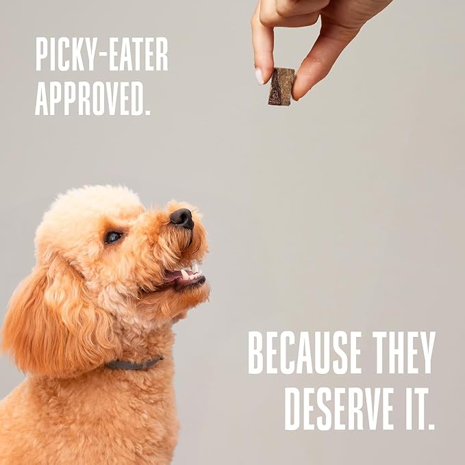 Whole Life Dog Just One Beef Liver Freeze Dried Dog Treats - Human Grade High Protein Food, Healthy Training Snacks, Freeze Dried Food Toppers, USA Made Natural Treats - 18 oz (Pack of 4)