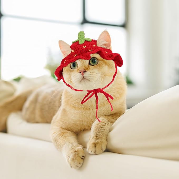 Strawberry Cat Hat, Handmade Knit Cute Soft Dog Cat Hat Halloween Christmas Party Costume Head Wear Accessories for Cats Birthday Puppy Hats for Kitten Small Pets (Red, M)