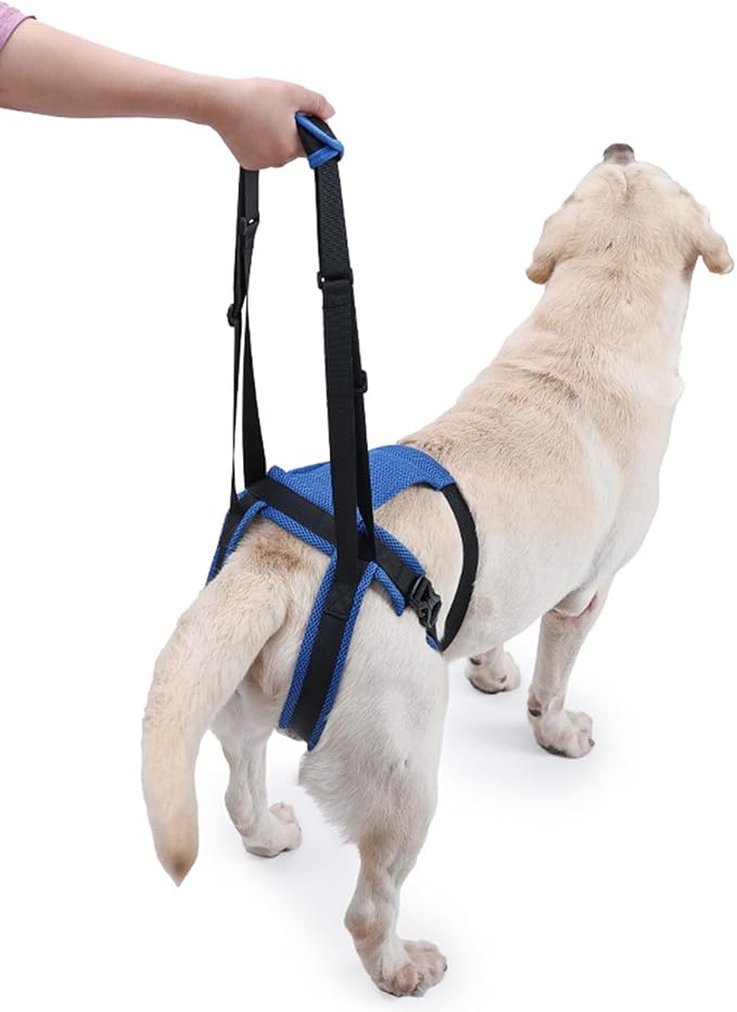 Adjustable Dog Rear Leg Harness, Breathable Mobility Aid for Elderly/Disabled Pets, Easy Stair Access Pet Rear Leg Harness Belt