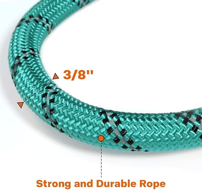 Taglory Rope Dog Leash 6 FT with Comfortable Padded Handle, Highly Reflective Threads Leash and Anti-Tangle Clip for Walking Small Dogs, 3/8 inch, Turquoise