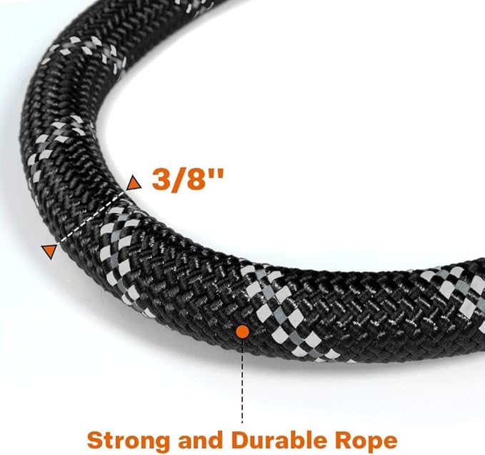 Taglory Rope Dog Leash 5 FT with Comfortable Padded Handle, Highly Reflective Threads Leash and Anti-Tangle Clip for Walking Small Dogs, 3/8 inch, Black