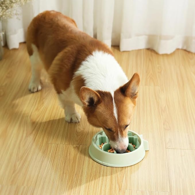 Slow Feeder Dog Bowls Insert, Animire Soft Silicone Anti-Choking Puzzle Slow Feeder, Anti-Slip Slow Down Eating Feeder Insert, Compatible with Regular Elevated Dog Bowls