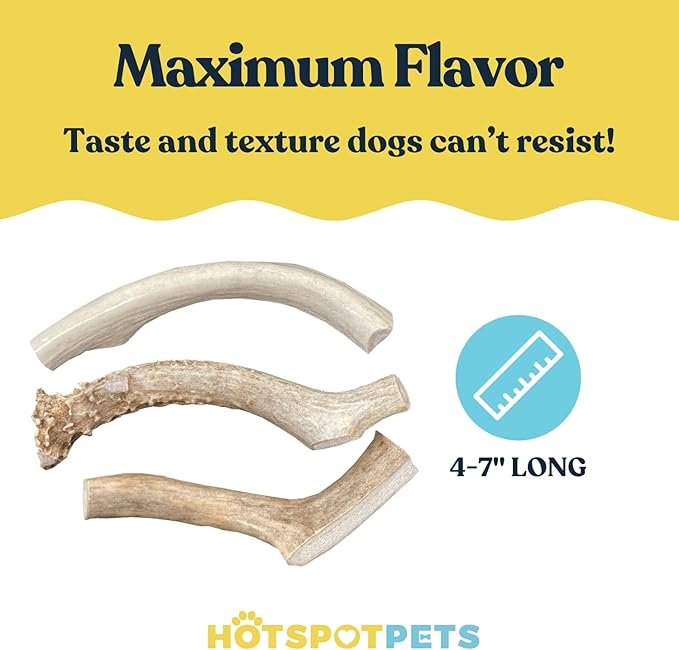 hotspot pets Premium Deer Antler for Dogs -(6 Pack) 4-7 Inch Long Lasting Dog Chews,Naturally Shed Deer Antler Bones for Small & Medium Breed Aggressive Chewers - Sourced in USA