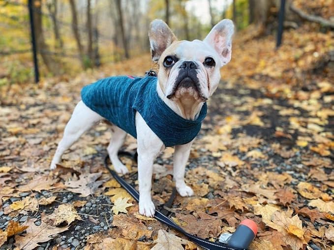 Gooby Boys X-Small Chest (~11 Inch) Zip Up Fleece, Turquoise Wash, X-Small 11 US