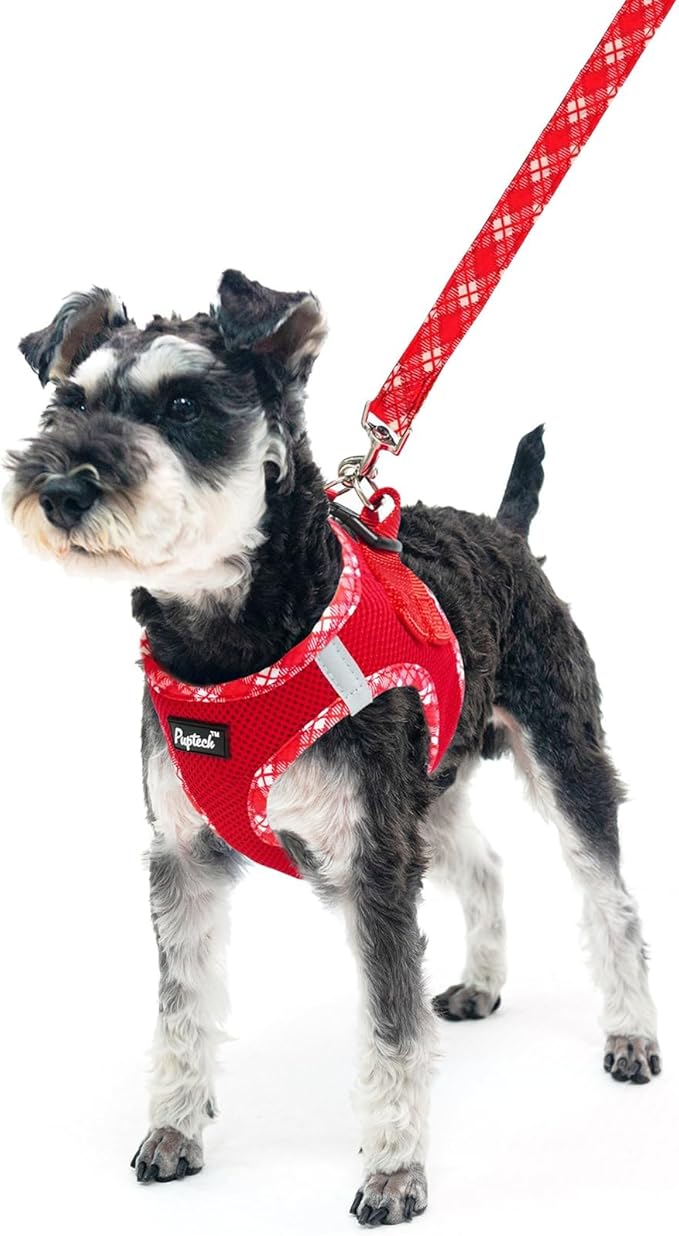 PUPTECK Dog Harness and Leash Set for Small Medium Dogs No Pull Step-in Soft Mesh Puppy Cat Vest Harnesses Reflective at Night, Red, S