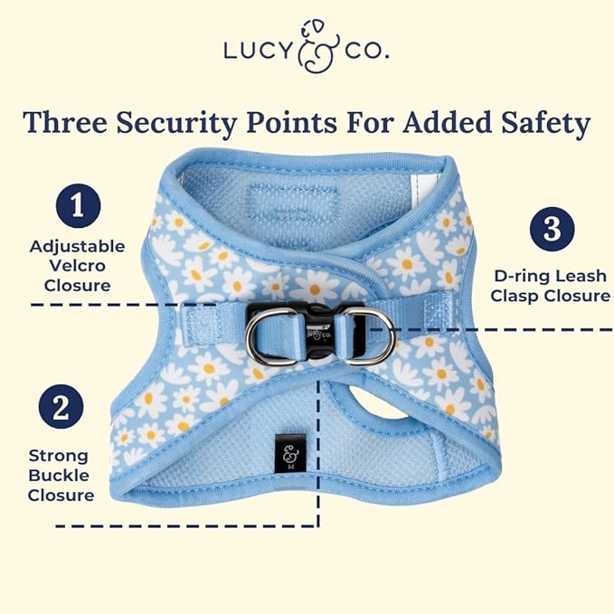 Lucy & Co. Simply Splendid Step-in Cat Harness & Leash Bundle – Reflective, Breathable & Adjustable Harness for Cats, Kittens & Small Dogs, Lightweight & Secure and Dual Leash Clips – Medium