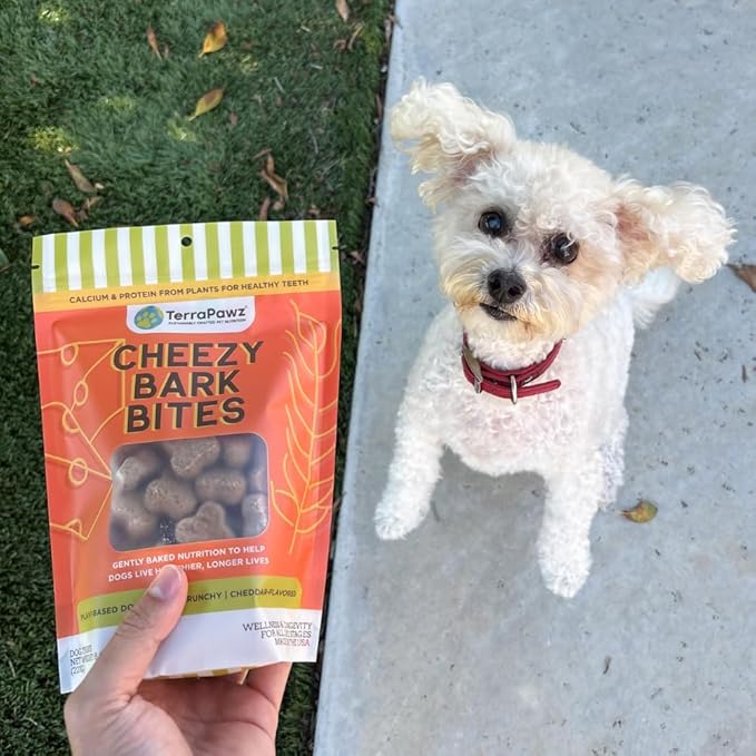 TerraPawz Vegan Dog Training Treats – Cheezy Flavor, Plant-Based Functional Treats with Chia & Flaxseed for Skin, Coat & Dental Health, Omega-Rich Treats for All Dog Sizes Including Large Breeds(8 oz)