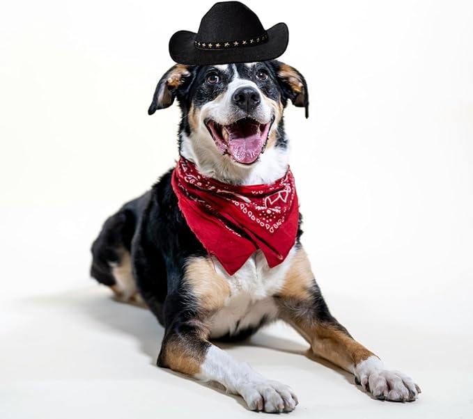 Dog Cowboy Hat Cat Cowboy Hat Mini Cowboy Hat for Dogs Cat Pet Cowboy Costume with Bandana Scarf Holiday Halloween Pet Party Decoration (Black, Large)