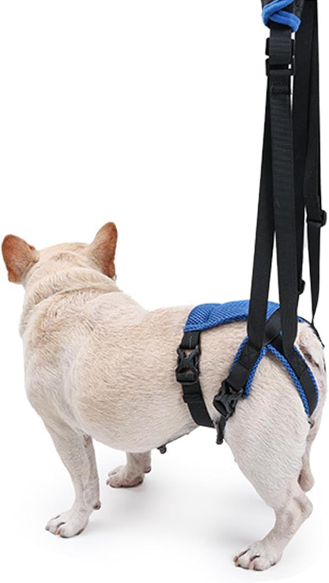 Adjustable Dog Rear Leg Harness, Breathable Mobility Aid for Elderly/Disabled Pets, Easy Stair Access Pet Rear Leg Harness Belt