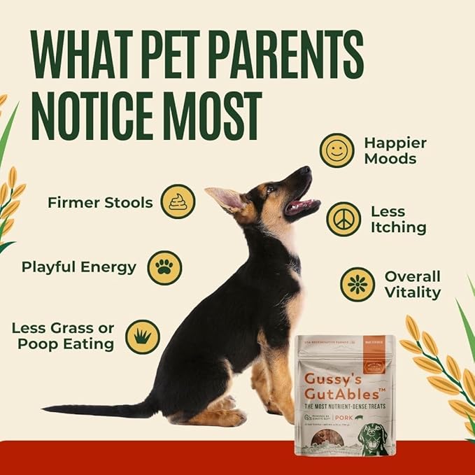 GUSSY'S GUT GutAbles- Award Winning White Oak Pastures Pork & Fermented Prebiotic Treat for Dog Gut & Digestive Health- Human Grade Ingredients – Gussy’s Delight Phase
