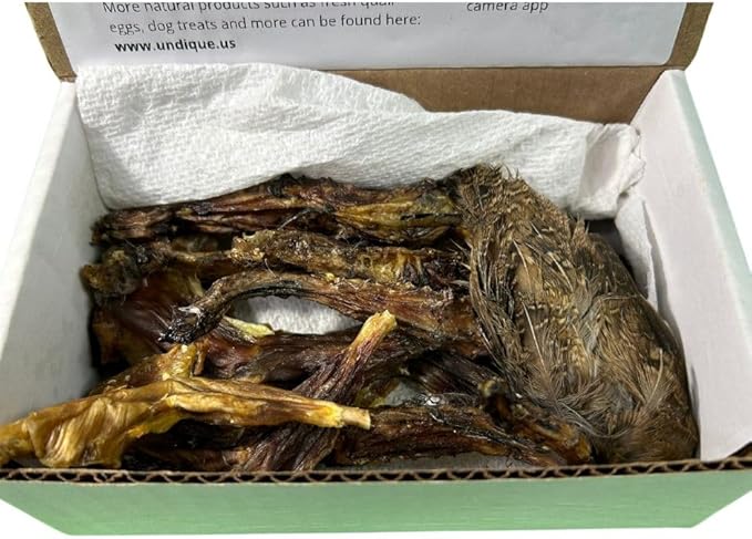 Quail Wing Dog Training Kit - Nutritious Dog Treats and Quail Wing for Effective Dog Training Sessions - Reinforce Positive Behaviors with Training Treats - Not Suitable for Small Breeds