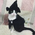 Cute Hooded Cloak Witch/Wizard Halloween Holiday Costume for Small Dogs & Cat Kitten, Cat Halloween Costumes