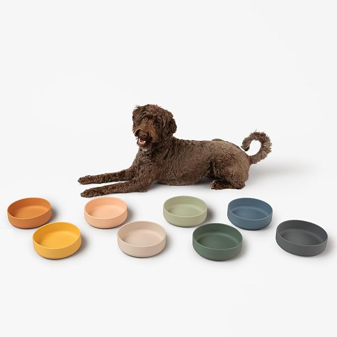 Should We Go? Dog Water Bowl - The Perfect Dish No-Spill Less Mess Non-Tippable Water & Food Bowl, Pure Silicone with Suction Cup Fits 5 Cups 7.5" Across x 2.25" Tall Ideal for All Pets, Medium-Spruce