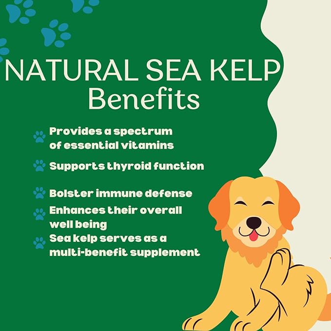 Indigenous Pet Dental Health Bones Regular 2 Pack – Beef Collagen (17 Ounce x 2) | Grain-Free Dog Chews with Prebiotics & Omegas | Freshens Breath, Supports Digestive, Skin & Coat Health |