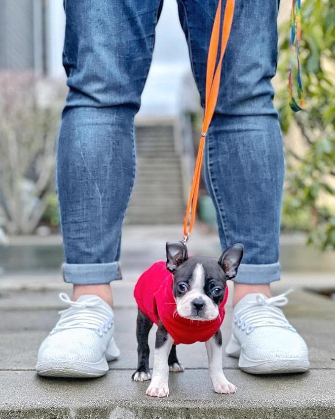 Gooby - Stretch Fleece Vest, Pullover Fleece Vest Jacket Sweater for Dogs, Red, X-Small