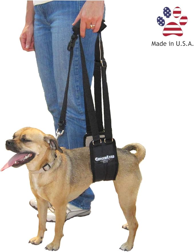 GINGERLEAD Dog Sling Support Harness, SM Female fits Small to Medium Size Pets or Larger Barrel Chested Dogs Like Boxers or Bullies. Padded Rear Lifting Aid with Leash. Made in U.S.A.