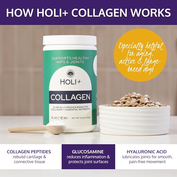 HOLI+ Collagen Supplement for Dogs - Hip and Joint Care Collagen Powder with Glucosamine and Hyaluronic Acid - Easy to Mix Functional Topper