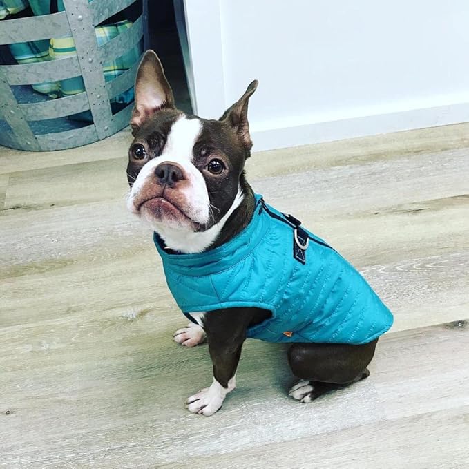 Gooby Boys Classic Puffer Dog Vest, Turquoise, Large Chest 20.75 US