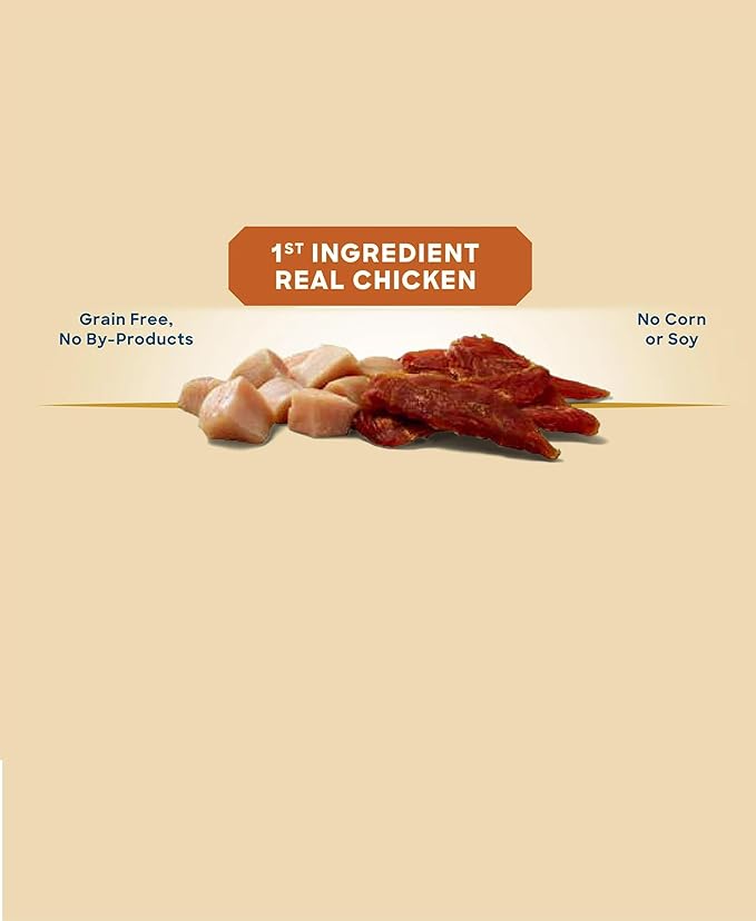 Golden|Rewards Chicken Jerky Dog Treats, 16 oz Bag, Made with Wholesome Chicken Breast, Low Fat, Grain-Free, No Artificial Colors or Preservatives, Premium High-Protein Snack for Dogs