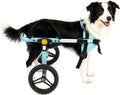 TailWaggers Dog Wheelchair for Back Legs | Adjustable Mobility Aid | All-Terrain Wheels