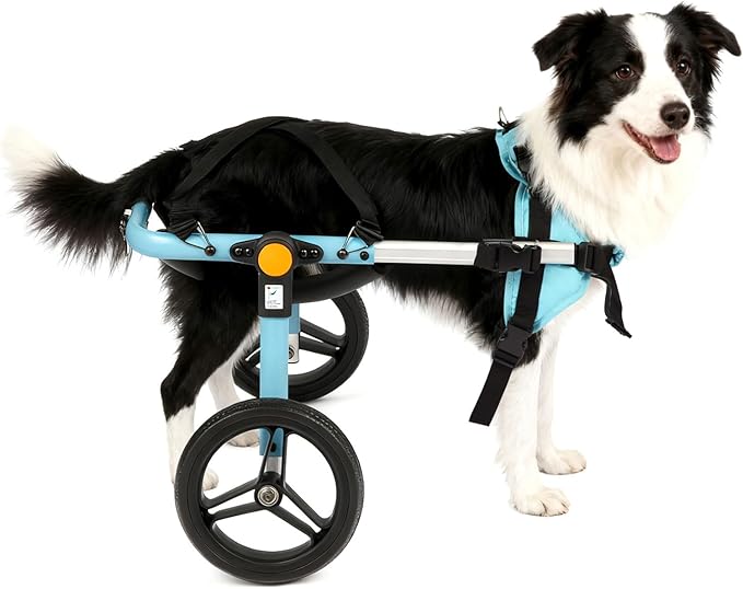 TailWaggers Dog Wheelchair for Back Legs | Adjustable Mobility Aid | All-Terrain Wheels