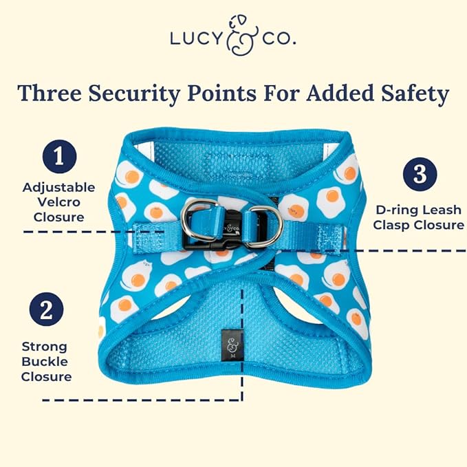 Lucy & Co. Eggcelent Step-in Cat Harness & Leash Bundle – Reflective, Breathable & Adjustable Harness for Cats, Kittens & Small Dogs, Lightweight & Secure and Dual Leash Clips – Small
