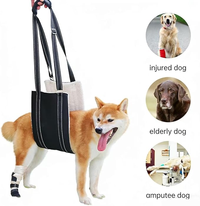 Portable Canine Hind Leg Support Strap, Hip Lift Assistance Harness for Raising The Hind Legs, Heavy-Duty Mobility Assistance Device for Senior, Injured, or Post-Operative Dogs (Small)