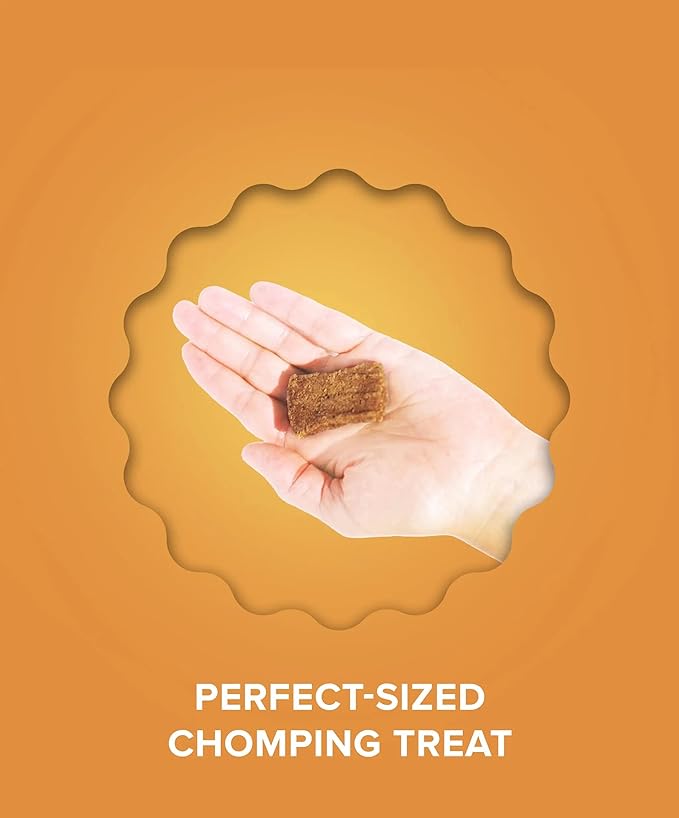 PLATO Pet Treats Real Strips Dog Treats – USDA Organic Chicken – Air-Dried High Protein Dog Treats – Limited Ingredient, Nutrient Dense, No Fillers – Made in USA – 6 oz