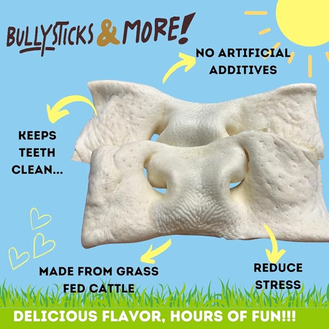 BULLYSTICKS & MORE 8-10 Inch Smoked Beef Cheek Snouts for Dogs (Extra Thick-3 Count) - Bully Snouts Dog Chews - Beef Cheek Strips -No Hide Bones for Dogs