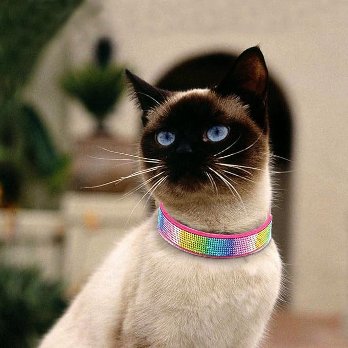 Cute Dazzling Sparkling Elegant Fancy Soft Suede Leather Bling Rhinestone Crystal Jeweled Pet Cat Dog Puppy Collar Dog Leash Combo Set (XXS, Hot Pink-3)