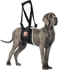 Dog Sling for Back Legs, Dog Lift Harness, Magic Tape Dog Sling for Large Dogs Hind Leg Support, Elderly Dog Lifter, Assist Canie Hip Arthritis K9 Cruciate Ligament Rehabilitation (Small)