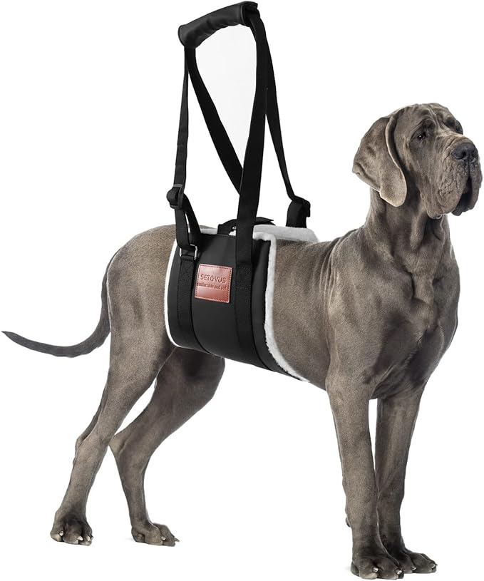 Dog Sling for Back Legs, Dog Lift Harness, Magic Tape Dog Sling for Large Dogs Hind Leg Support, Elderly Dog Lifter, Assist Canie Hip Arthritis K9 Cruciate Ligament Rehabilitation (Small)