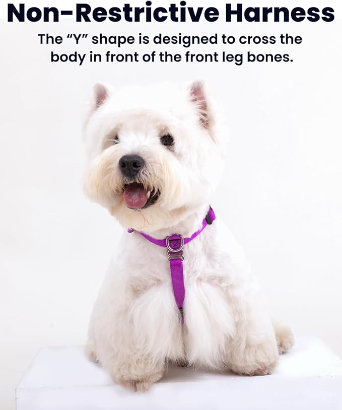 Non Restrictive Dog Harness, Easy Walk, Freedom No Pull Harness, Keep Balance, Lightweight, Neck Buckle, 2 Clips for Back/Front Clip, Sewn-in Instructions Labels for Easy Use (Purple, X-Small)