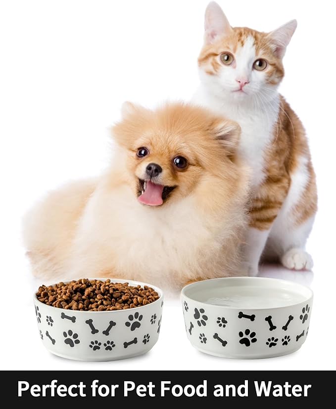UBEE Ceramic Dog Bowl Set of 2, 5.5 inch Dog Food Bowl Dish with Bone Paw Pattern, Pet Food Water Dish Feeding Plates for Small Dogs, Puppy and Cat, White